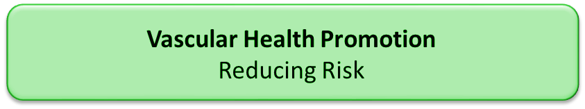 Vascular Health Icon